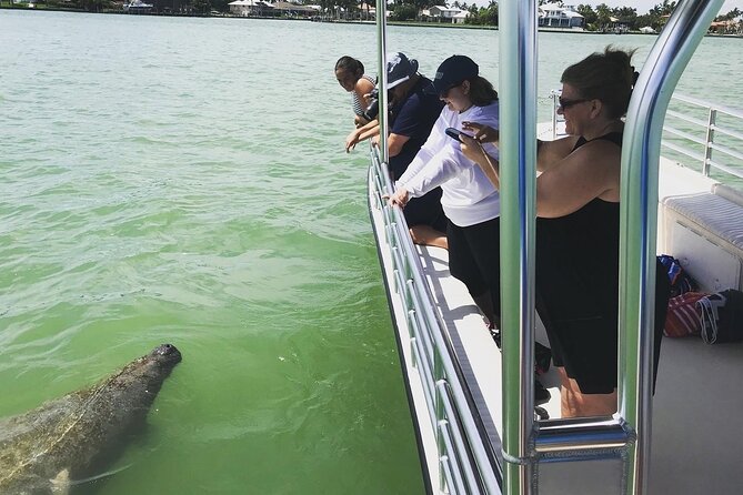 Marco Island Dolphin Sightseeing Tour - Customer Experiences