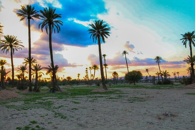 Marrakech Sunset Camel Ride in the Palm Grove - Participation Details