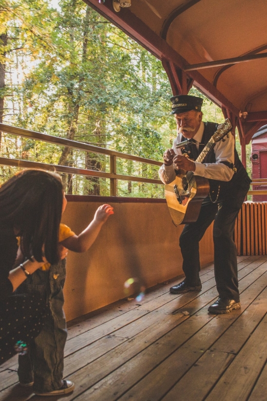 Mendocino County: Skunk Train Wolf Tree Turn Train Ride - Important Information