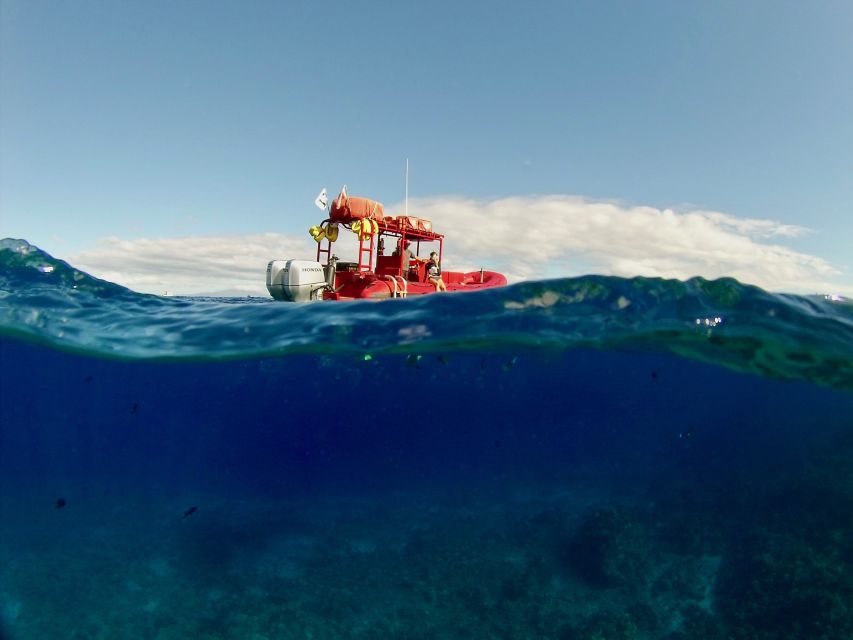 Molokini Snorkel & South Maui Coast Tour - Inclusions and Amenities