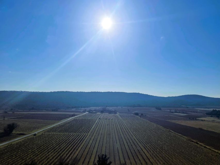 Montpellier: A Day in a Vineyard at Pic Saint Loup - Dining at the Estate