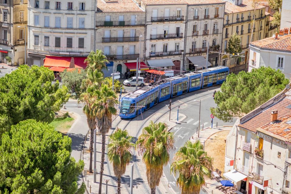 Montpellier: Express Walk With a Local in 60 Minutes - Meeting Point