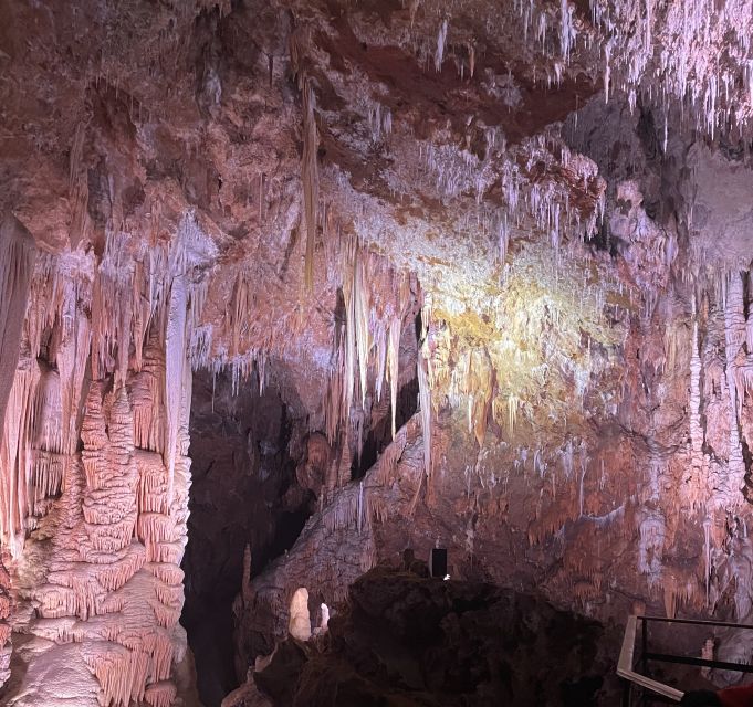 Montpellier:Half-Day Terrasses Du Larzac Wine and Grotto - Cellar Tour and Wine Tasting