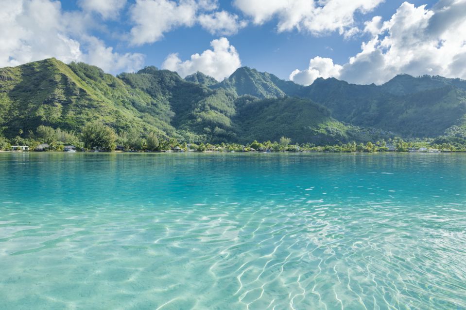 Moorea Highligts: Blue Laggon Shore Attractions and Lookouts - Route Des Ananas: Pineapple Plantations