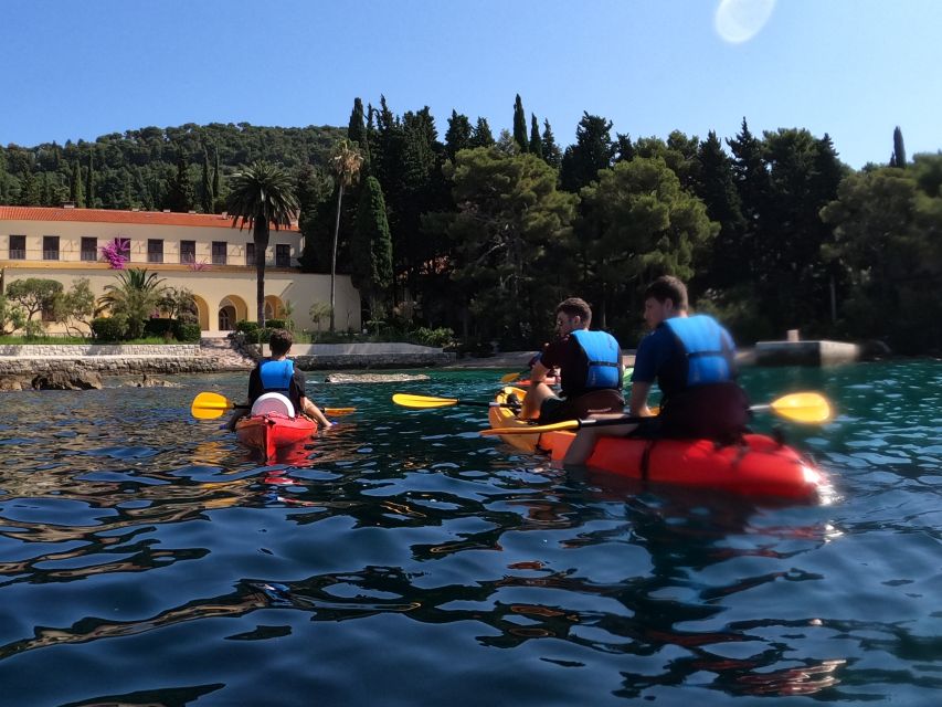 Morning Split Sea Kayaking Tour - Participant Requirements