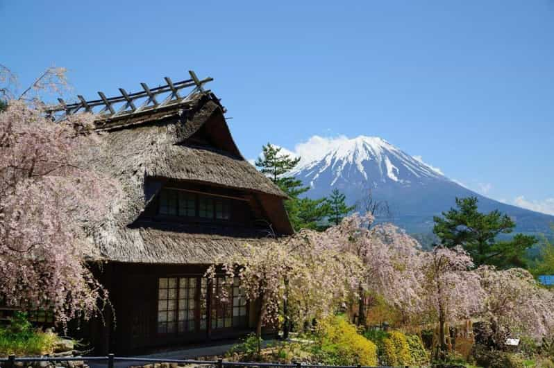 Mount Fuji Sightseeing Trip Review - Language and Group Size