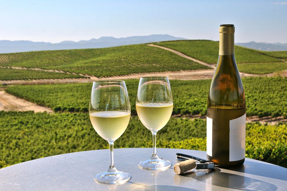 Nafplion: Nemea Vineyards Wine Tour - Customer Reviews