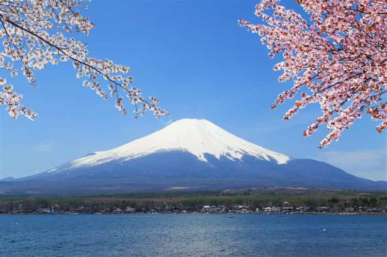 Narita Airport（NRT）to/from Mount Fuji Private Transfer - Guidelines and Policies