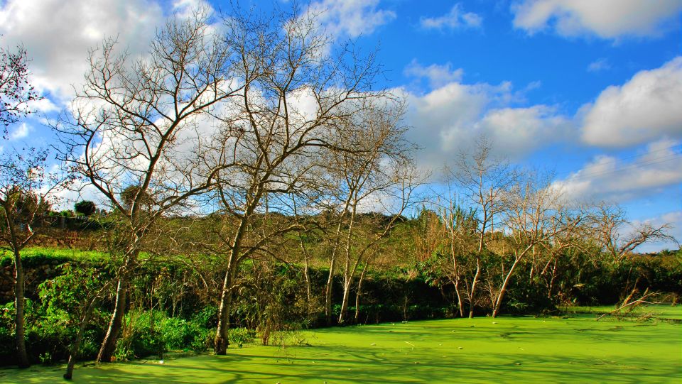 Nature Highlights Private Walking Tour With Transport - Victoria Lines