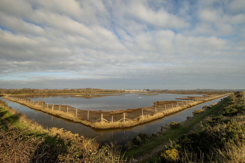 New Forest Discovery Walk (Lymington) - Exploring the New Forest Habitats