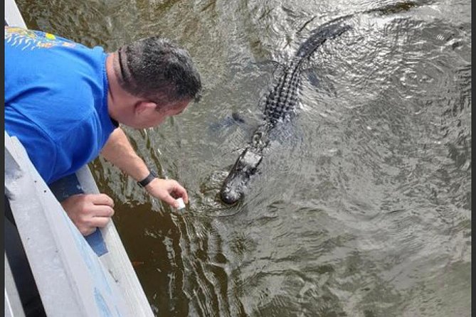 New Orleans Swamp Tour Boat Adventure - Tour Details and Accessibility