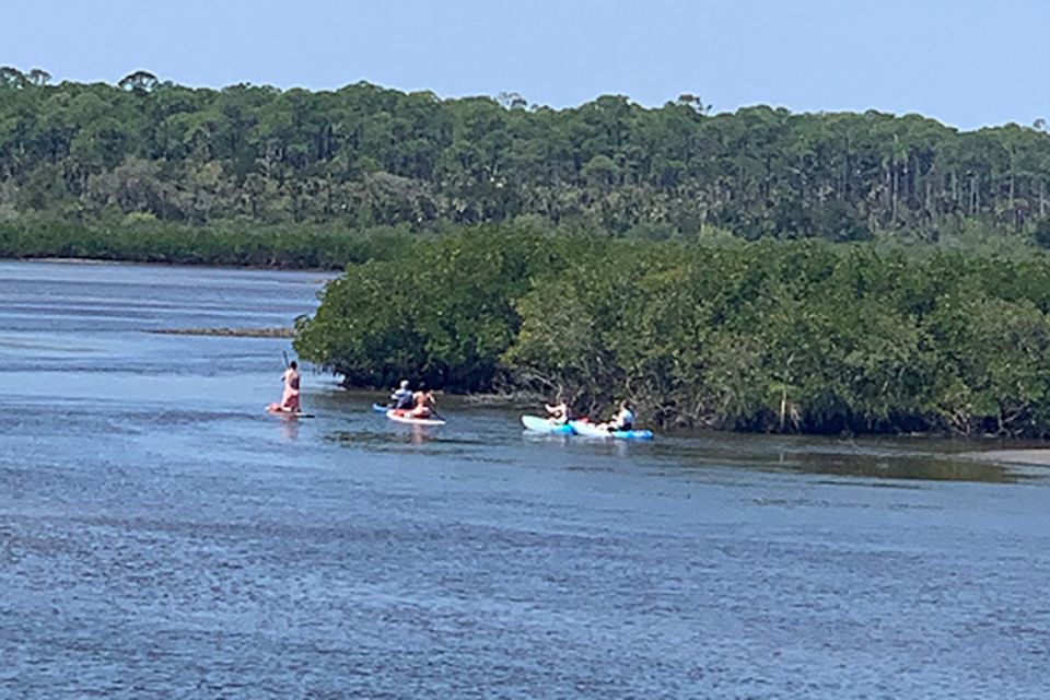 New Smyrna: Half-Day Guided SUP or Kayak Waterways Tour - Customer Reviews