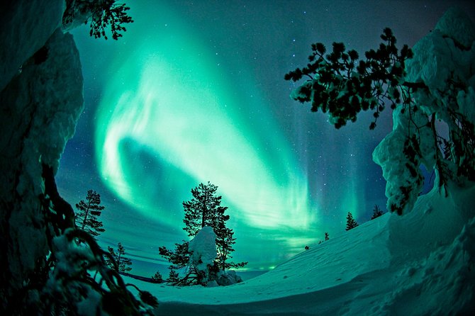 Northern Lights Photography Tour From Rovaniemi - Tour Details