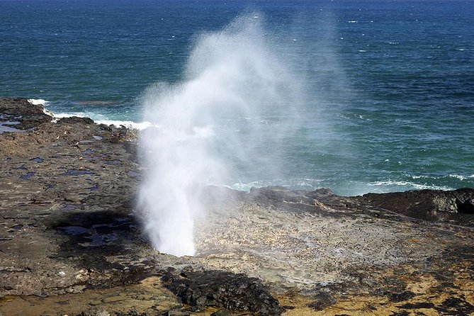 Oahu Circle Island - North Shore Snorkeling Tour (Dole & Temple) - Afternoon Stops