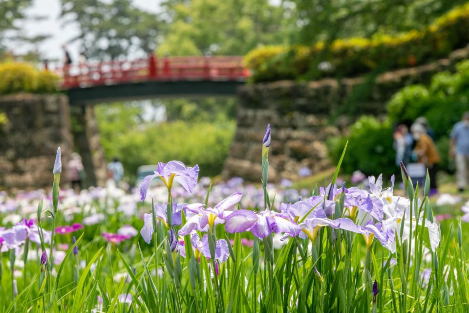 Odawara: Odawara Castle and Town Guided Discovery Tour - Ninja Museum Discovery