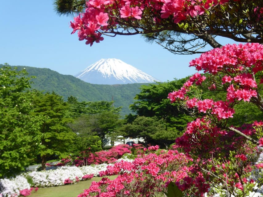 One Day Private Tour to Mount Fuji Hakone With English Guide - Tour Experience