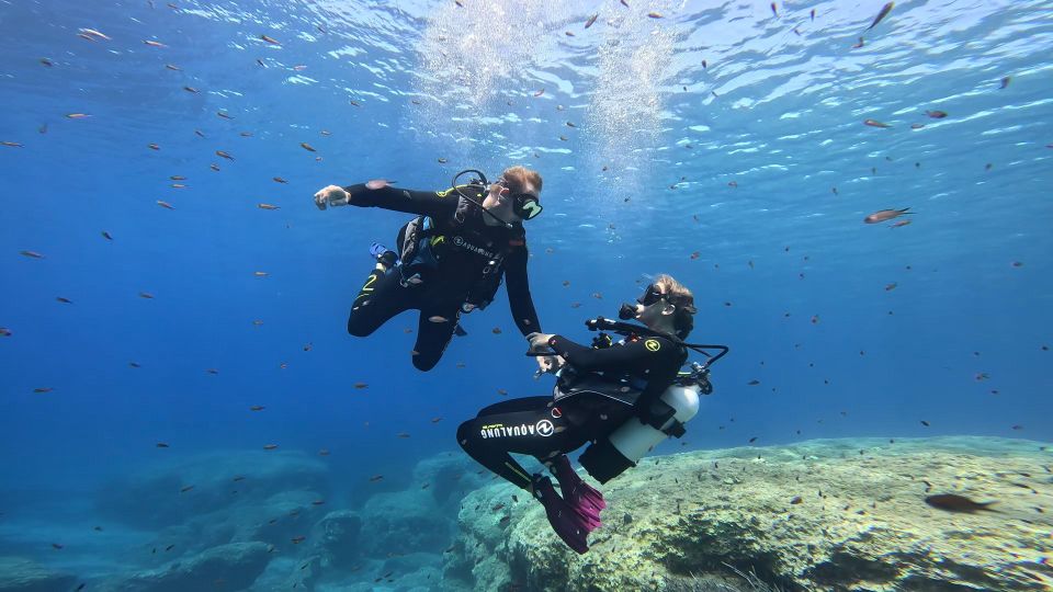 PADI Scuba Diving Program for Beginners in Peloponesse - Experience Highlights