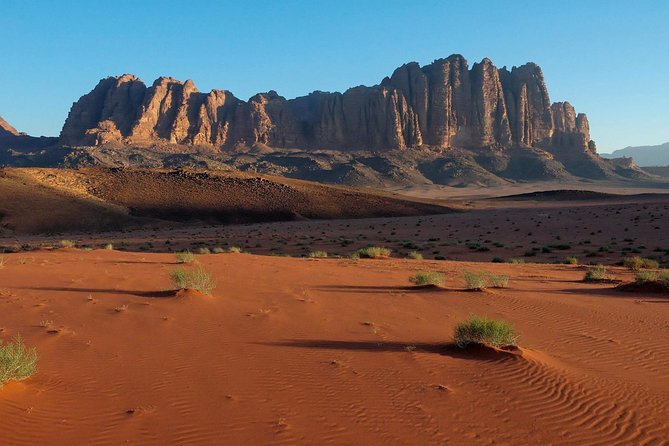 Petra and Wadi Rum Day Trip From Amman - Pricing and Reviews