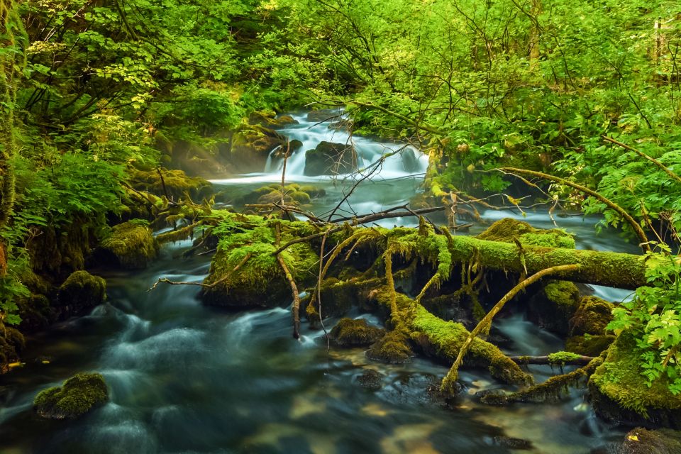 Plitvice Lakes: Guided Walking Tour and Boat Ride - Duration Options