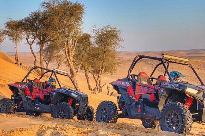 Polaris 1000 CC/2 Seater Dune Buggy Ride in Open Desert - Booking Information