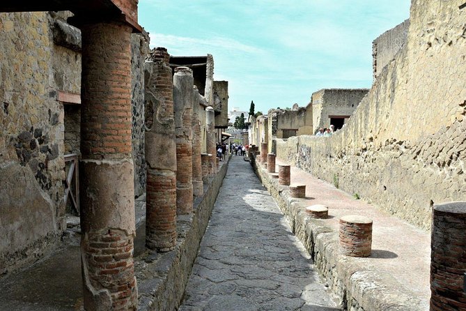 Pompeii and Herculaneum Private Walking Tour With an Archaeologist - Tour Details