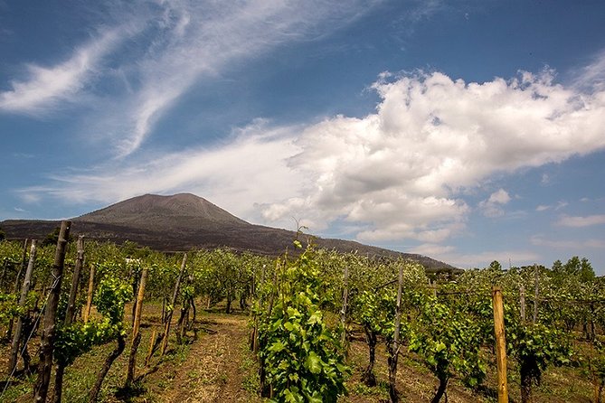 Pompeii Tour + Wine & Food Tasting at Mt. Vesuvius - Confirmation and Accessibility