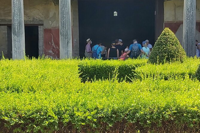 Pompeii Tour With Archaeologist - Tour Languages