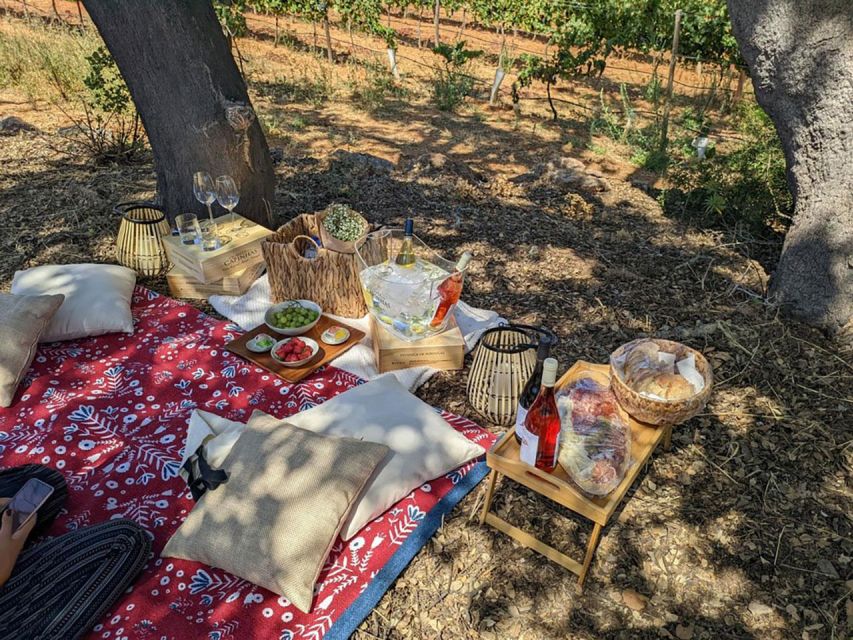 Porches: Vineyard Picnic Experience in the Algarve - Accessibility and Directions