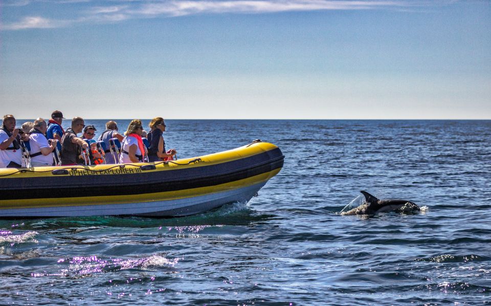 Portimão: 2-Hour Dolphin Watching Boat Tour - Customer Feedback