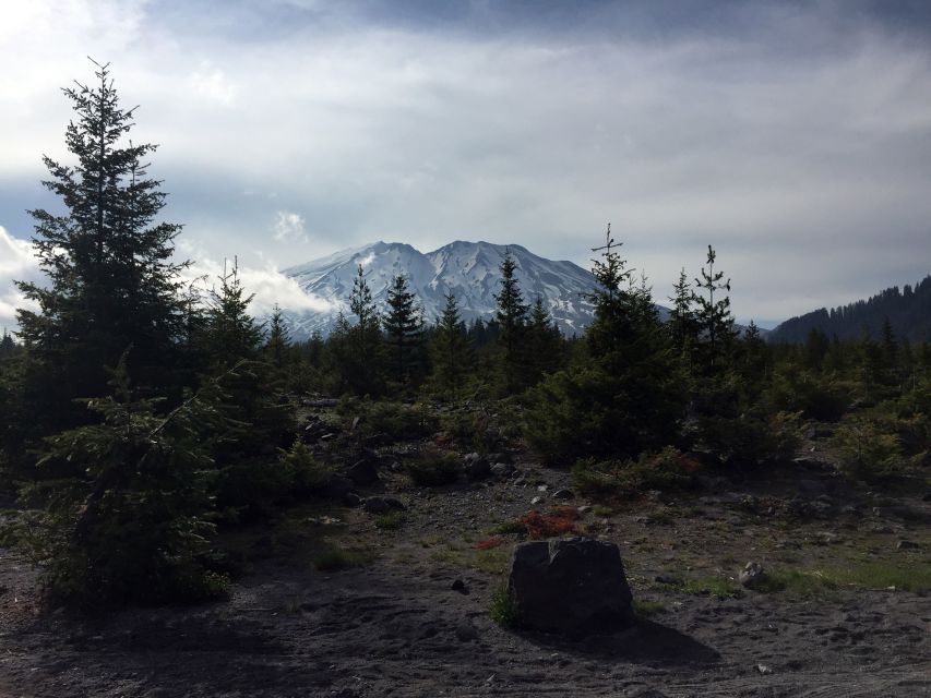 Portland: The Mt. St. Helens Adventure Tour - Picnicking by Spirit Lake