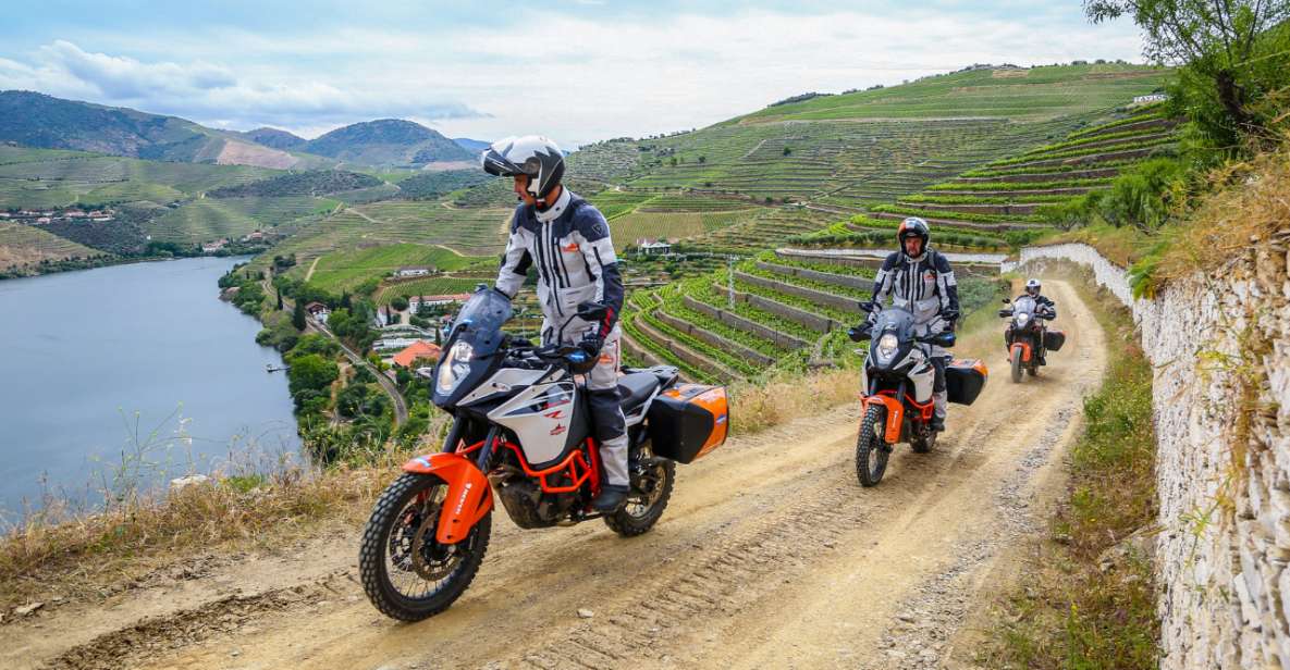 Porto & Douro Valley Experience - MOTO ADVENTURE - Exploring Portos Hospitality and Culture