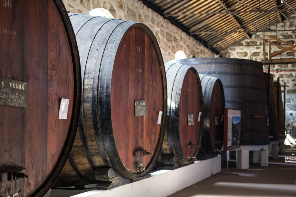 Porto: Wine Cellar Entry, Train Tour & Optional River Cruise - Important Information