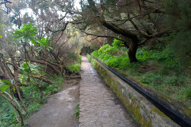 PR6 25 Fountains/Risco Levada Private Transfer - Discovering Madeiras Scenery