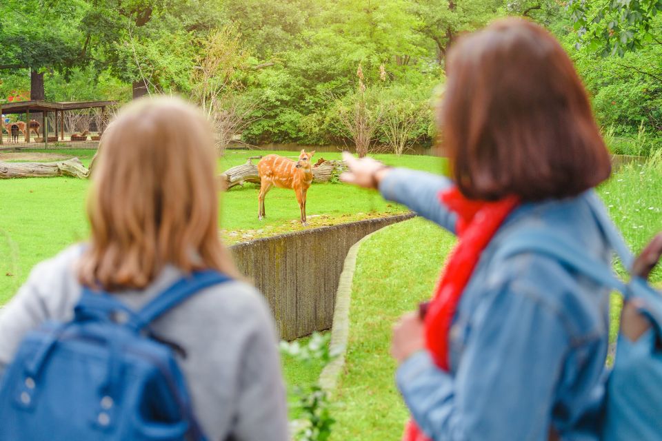 Prague: Boat Ride to the Zoo and Admission Ticket - Language and Accessibility