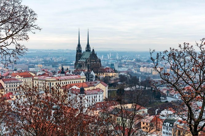 Prague-Vienna One-Way Sightseeing Day Tour - Cancellation Policy