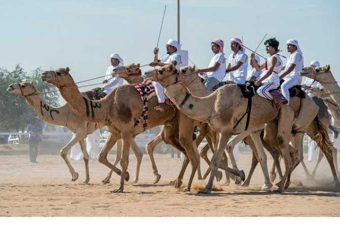 (Private Combo Tour) Sheikh Faisal Museum And Camel Race Track - Sheikh Faisal Museum