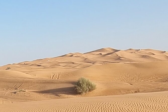 Private Desert Safari in Dubai With Pickup - Confirmation and Accessibility