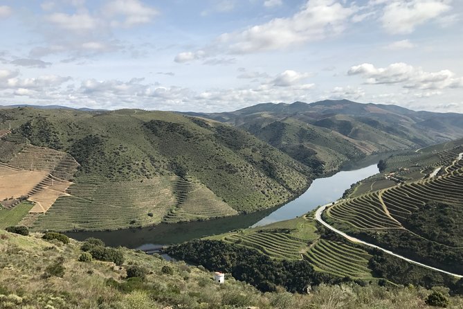 Private Douro Valley Tour Includes Wine Tasting and Boat Tour - Additional Information