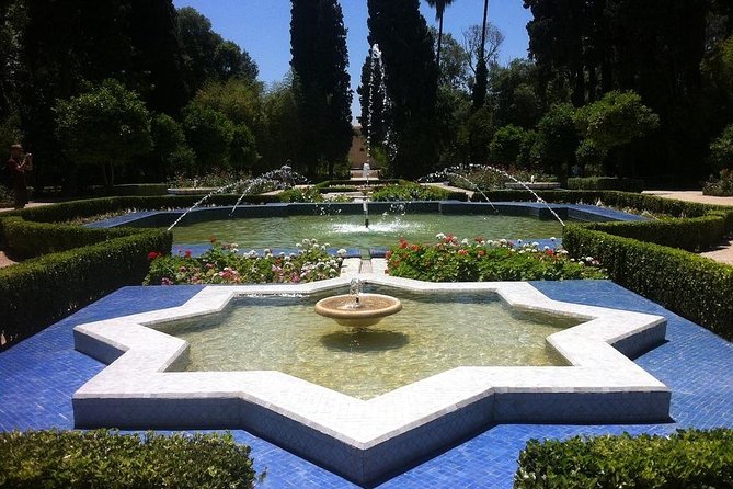 Private Fez Guided Day Tour - Accessibility and Participation