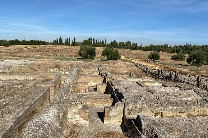 Private Hald Day Tour to the Historic Roman City of Italica - Suitability and Restrictions