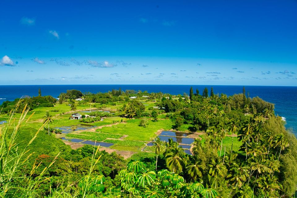 Private Halfway to Hana Tour LARGE GROUP - Hotel Pickup and Dropoff