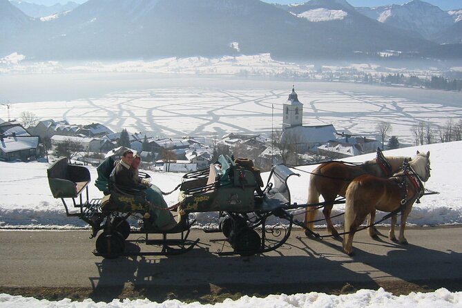 Private Horse-Drawn Sleigh Ride From Salzburg - Picturesque Forest Sleigh Ride