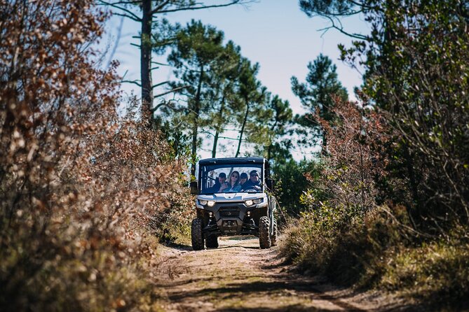 Private Panorama Buggy Tour (Half Day) - Private Tour Experience