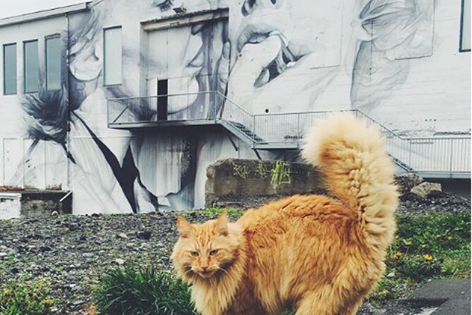 Private Reykjavik Cat Walking Tour - Reykjavik Cat Coffeehouse