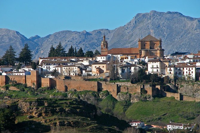 Private Seville Transfer to Malaga Including Visit to Ronda - Customer Reviews