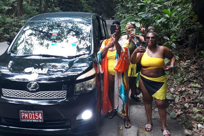 Private Sightseeing Tour in Ocho Rios - Ocho Rios Hotel Pickup