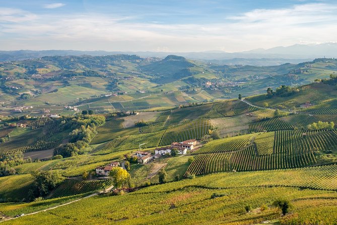 Private Tour: Barolo Wine Tasting in Langhe Area From Torino - Booking and Additional Information