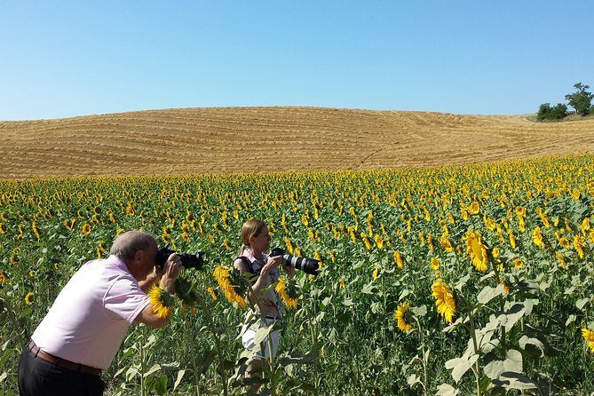 Private Tour: Orcia Valley to Montalcino and Montepulciano With Brunello Wine Tasting - Accessibility and Transportation