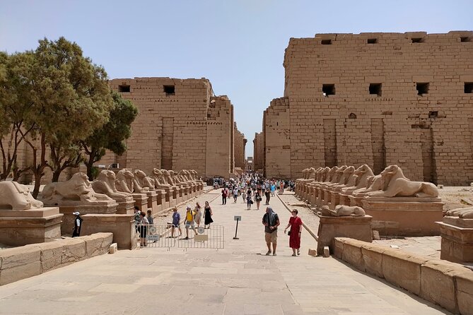 Private Tour to the Magnificent Karnak and Luxor Temples - Private Guided Tour Experience