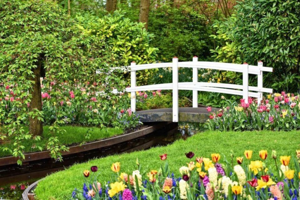 Private Tour to Tulip Experience, Keukenhof & Giethoorn - Themed Flower Displays